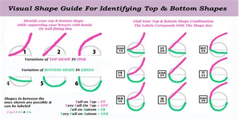 boobx|The 12 Different Breast Shapes and Types